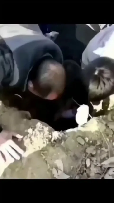 dog rescue operation