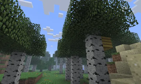 BTW If you ever wondered, this is what Minecraft would look like if the Texture Update never happened.