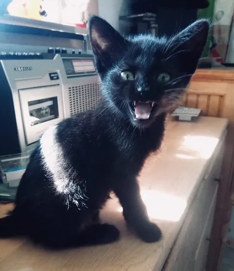 What do you think she is saying?