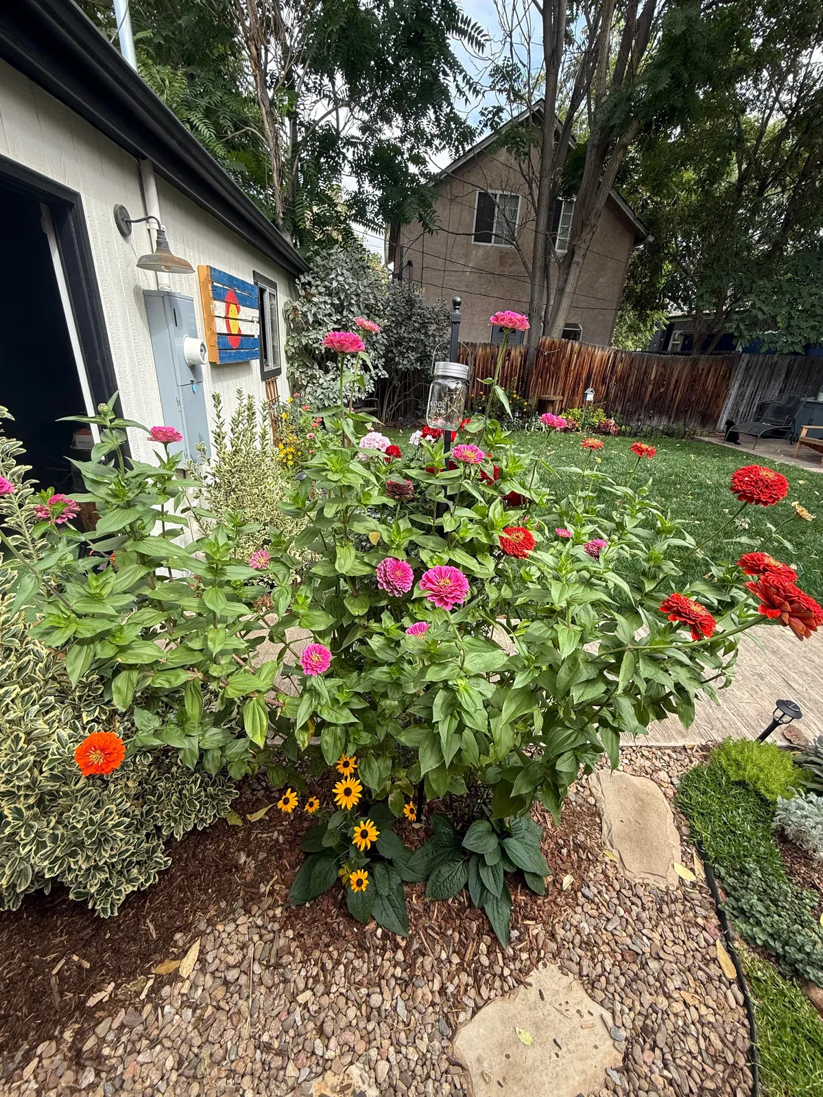 My 2nd year gardening, and I’m proud to share ‘em!