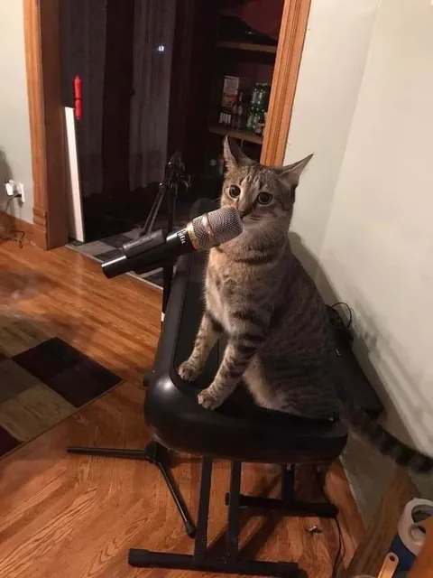 If he's gonna start a podcast, what's it gonna be called