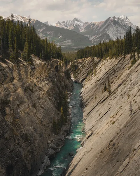 The Canadian Rockies [OC] [2530 x 3162] 