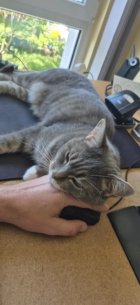 My home office supervisor is a control freak