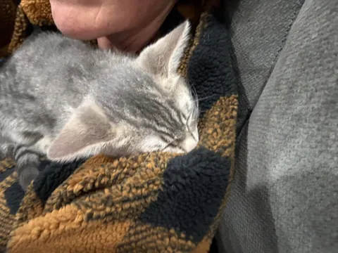 I’m not sure my wife could have been any happier. All 5 found a spot.