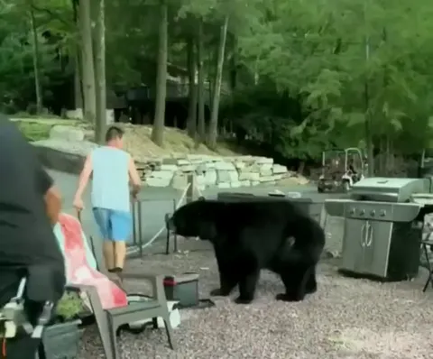 Man tells a bear he’s not invited and has to leave…