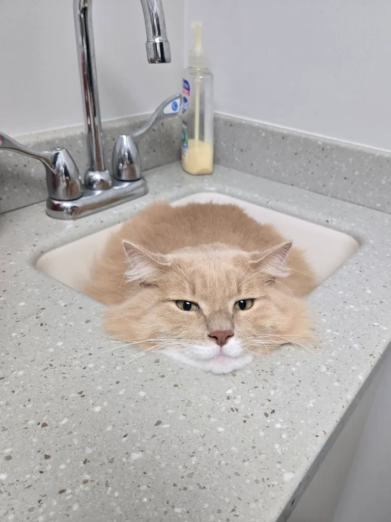 My boy during a recent check-up.