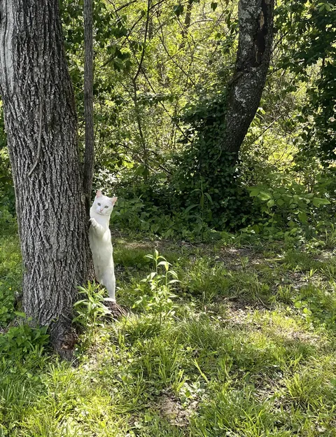 Spotted this cutie on my walk today. 😂🥹