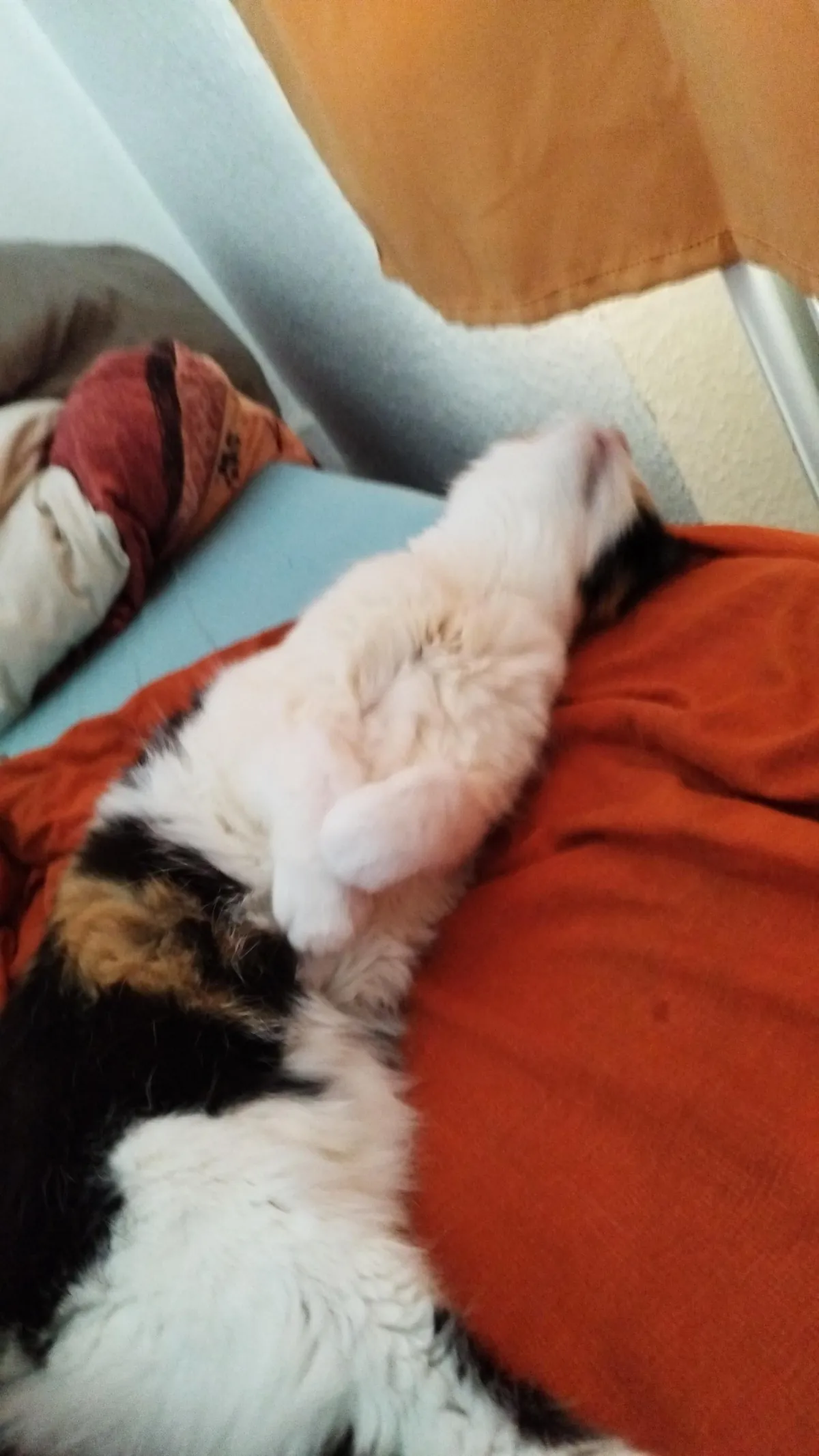 19 years and still looking fresh