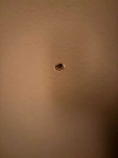 Neighbor’s snot nosed kids got ahold of their guns and shot through my room