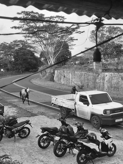 Horse tied to truck and forced to run — a case of animal cruelty in Misamis Oriental