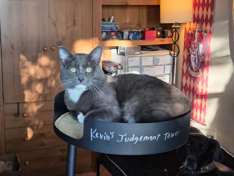 My office manager shredded the toilet paper so that less time is wasted on bathroombreaks.