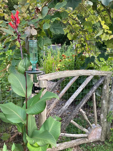 Some garden gate inspiration for winter