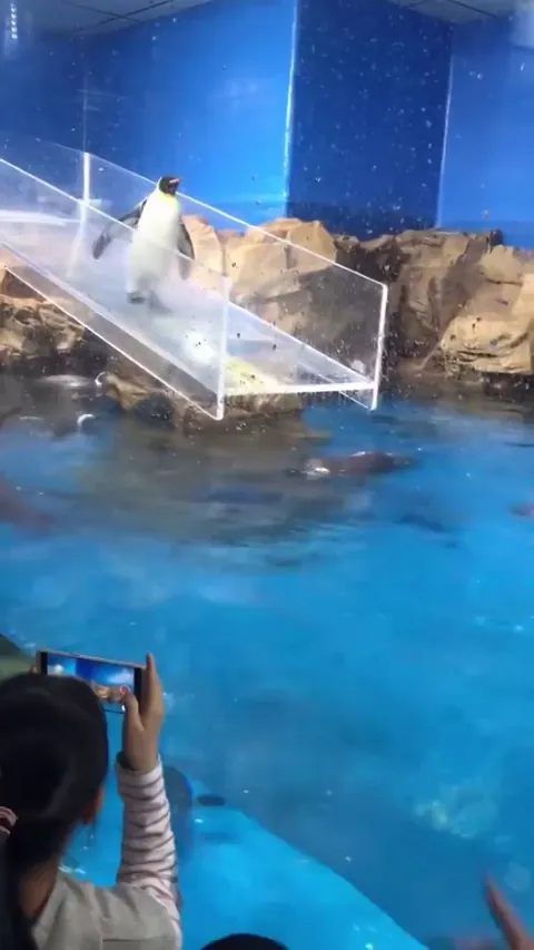 Bro embarrassed himself in front of his whole gang and family