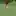 Nobody will ever celebrate a missed putt better than Woody Austin.