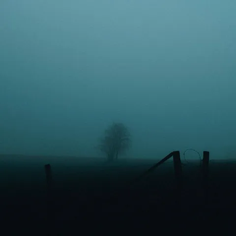 Green fog