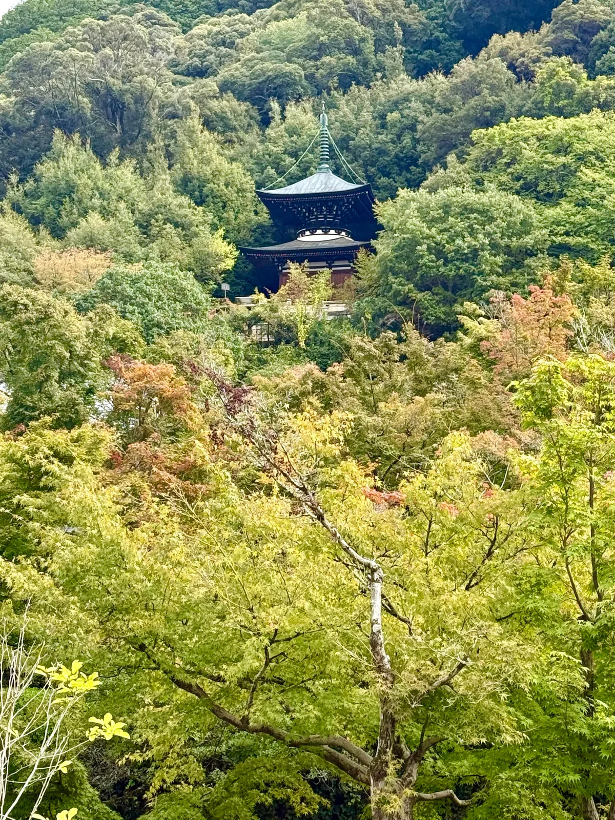 You don’t need 20,000 steps a day or every hyped-up restaurant to enjoy Japan