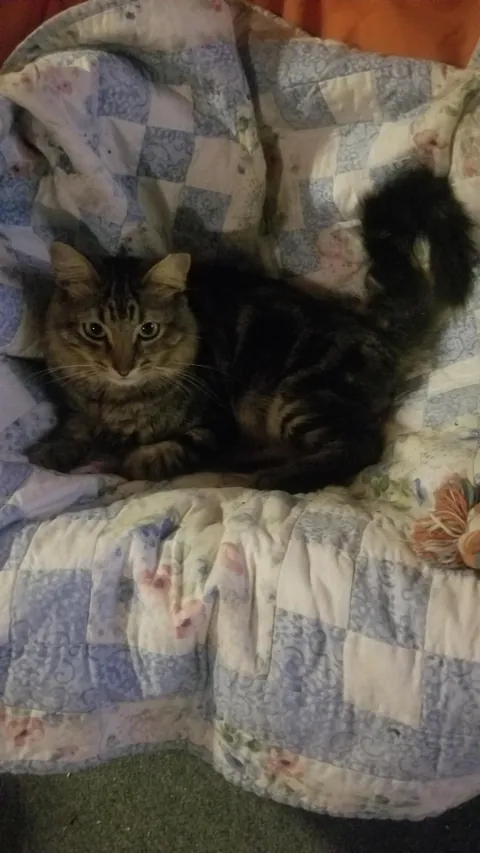 One month in and my rescue Carl is doing great!