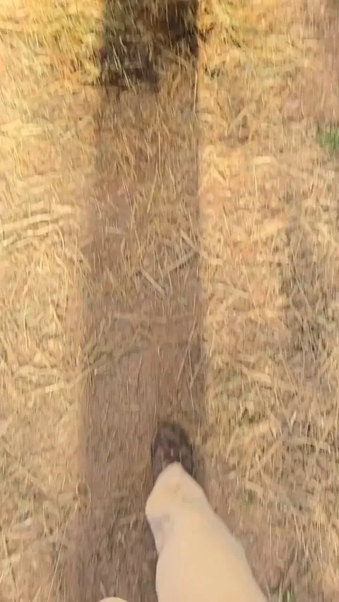 Spawned up like a final boss