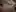 [F] Suggestions for degradation?