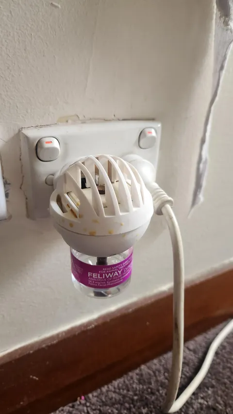 Got a Feliway to calm my cat and stop her from spraying... She sprayed on it 🙄