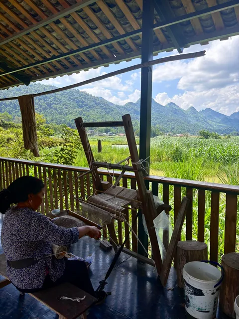 5 weeks in Vietnam 🇻🇳