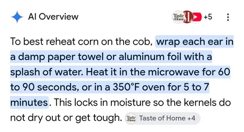 Bad advice: I asked Google how to best heat up ears of corn and it suggested I start a fire