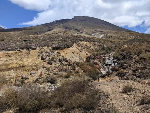 There and Probably Not Back Again: NZ Dec 2025