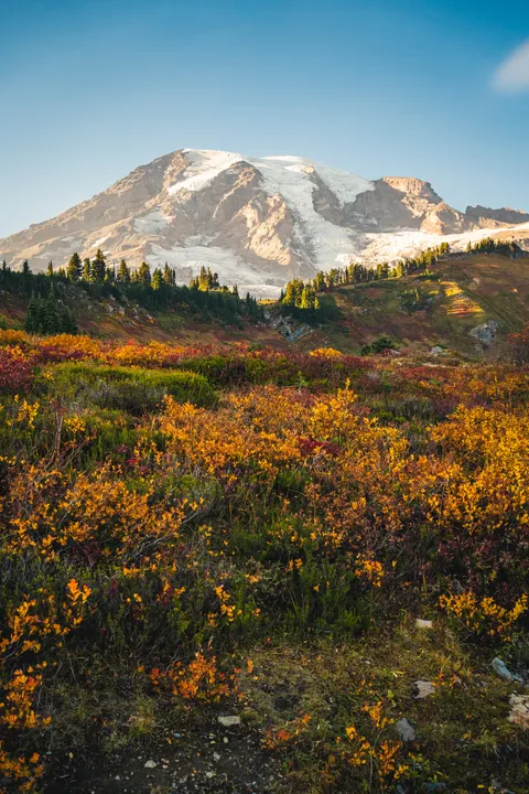 Mt Rainier, WA [OC] [4000X6000]