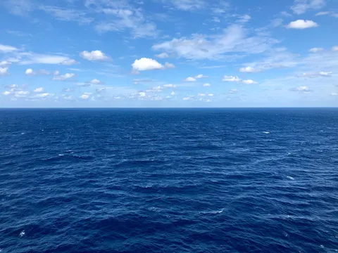 The Atlantic Ocean which Antifa once crossed to fight fascism.