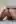 Which pic does your dick like the most: 1, 2, 3?