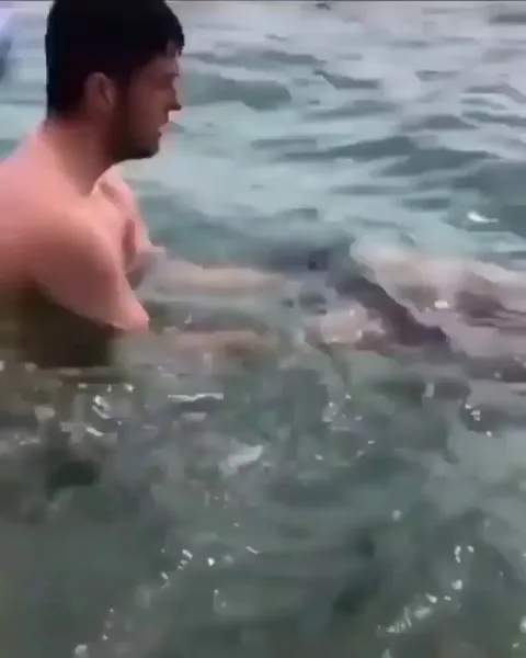 🔥 Seal approaches a human and hugs him