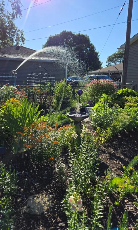 Transformed a small space behind my garage into my dream garden🌻2023 vs. 2024 