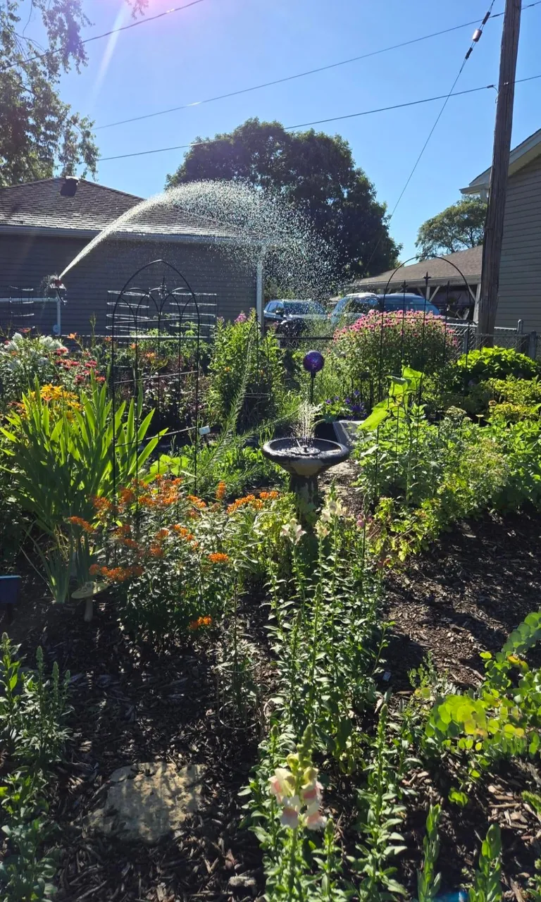 Transformed a small space behind my garage into my dream garden🌻2023 vs. 2024 