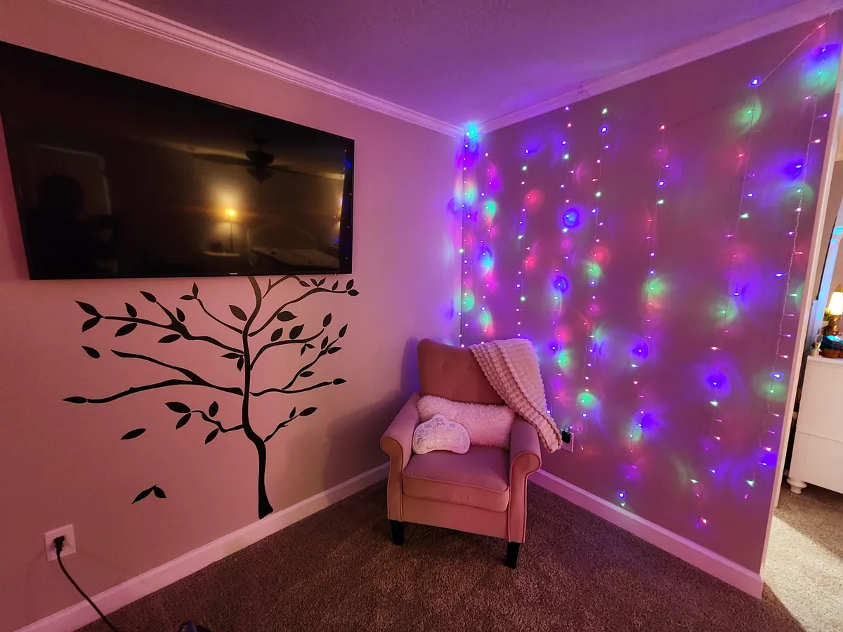 Transformed bonus room to daughter's dream bedroom.