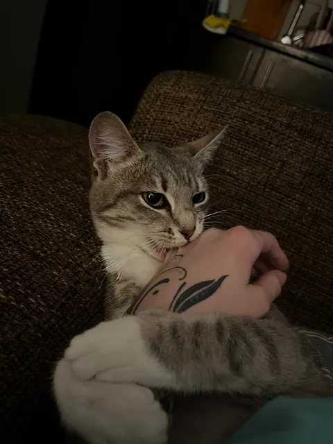 She’s just having a nibble