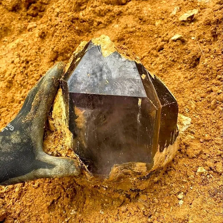 I always post photos of crystals after they have been cleaned and tidied up, but here is a picture of a gorgeous smoky amethyst fresh out of the earth in Georgia! ⛏