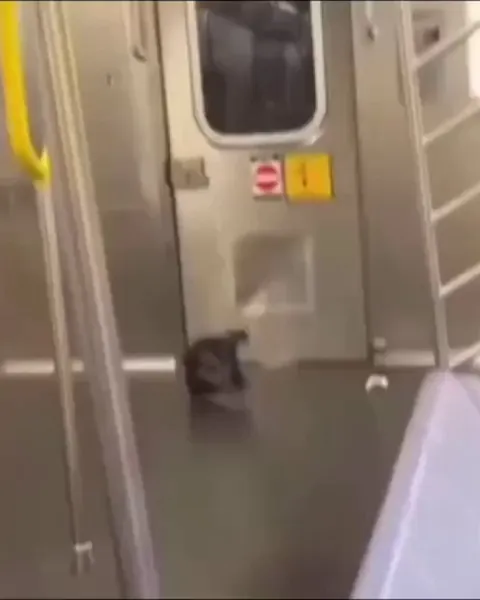 Someone filmed this bag in a subway twirling away merrily