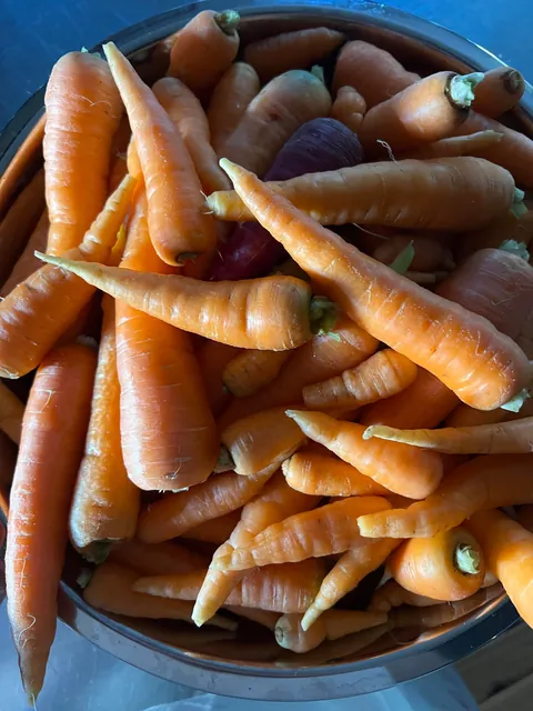 Biggest harvest so far! First year in our garden