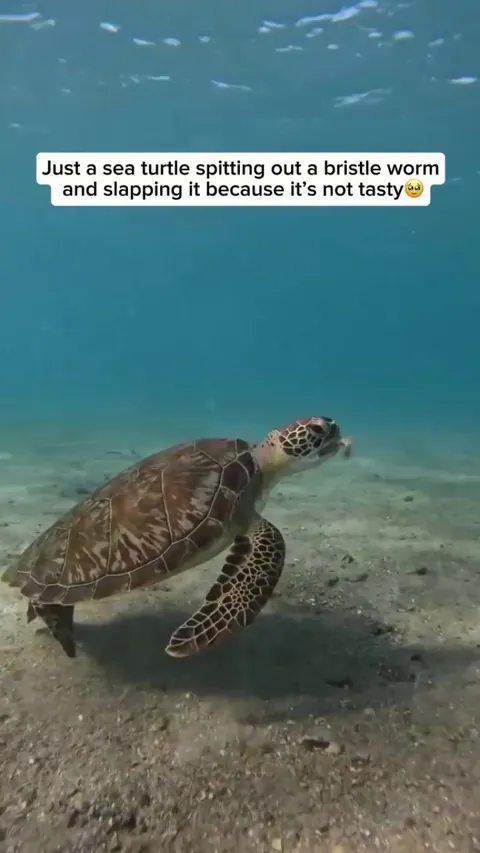 Disappointing food is a universal experience