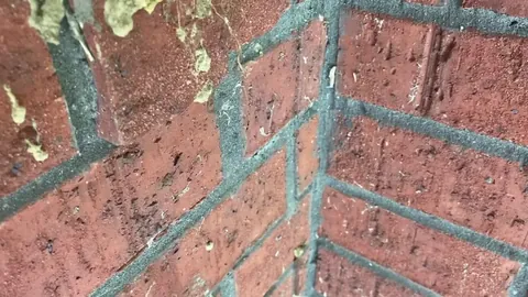 A pair of barn swallows made a permanent nest on my patio and just got back into town and, this morning, their eggs hatched.