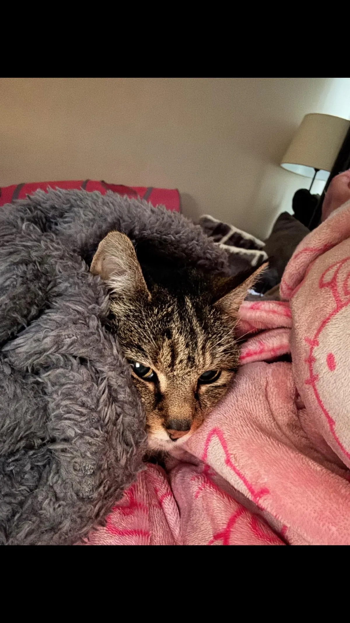 Had to send my 23 year old girl to sleep:(