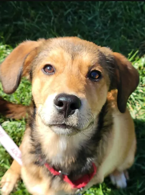 After going through a tough time, I made the best decision. Reddit, meet Treble