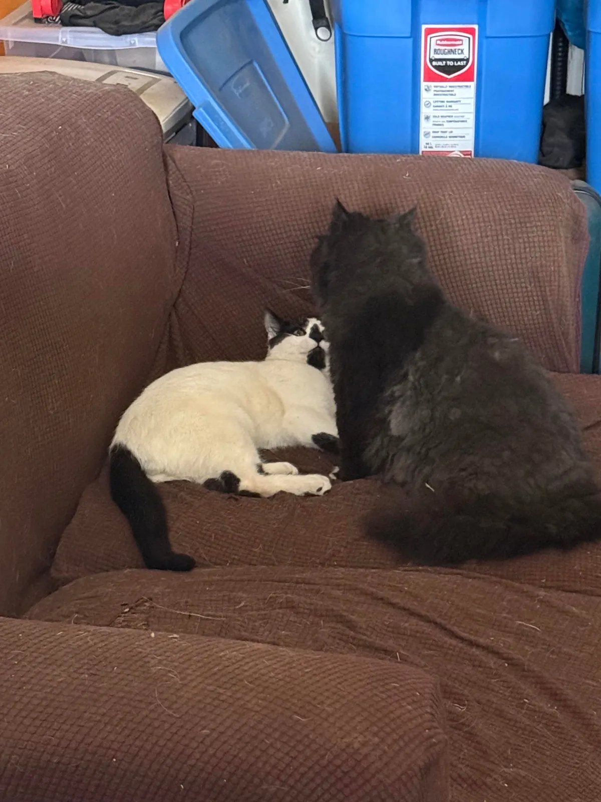 Pazuzu bothering Murphy when he was just trying to rest