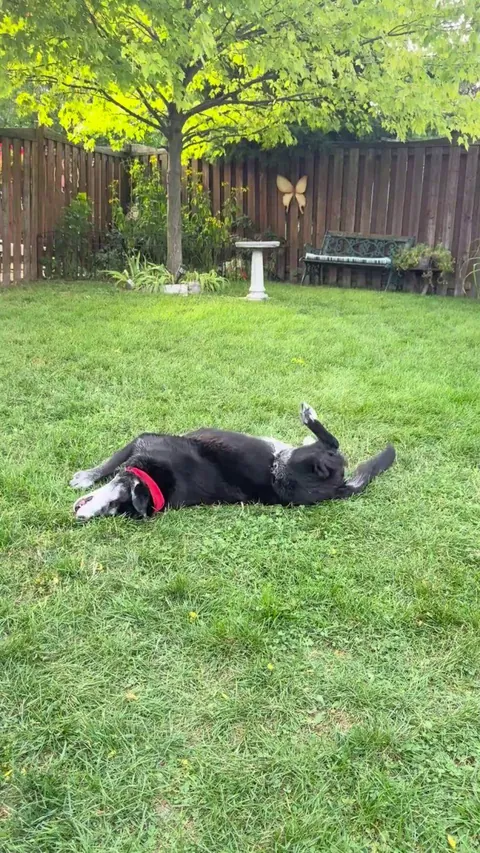 Old ladies enjoying the grass