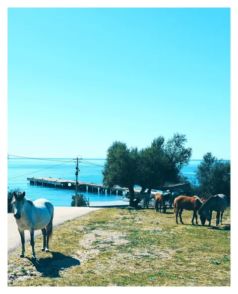 Five Days in Albania – My Spring Escape 2026