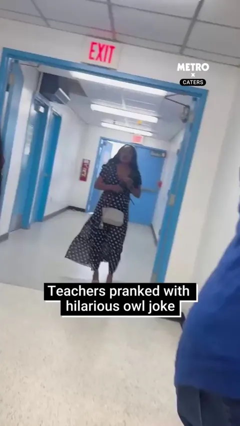Teachers pranked with owl joke