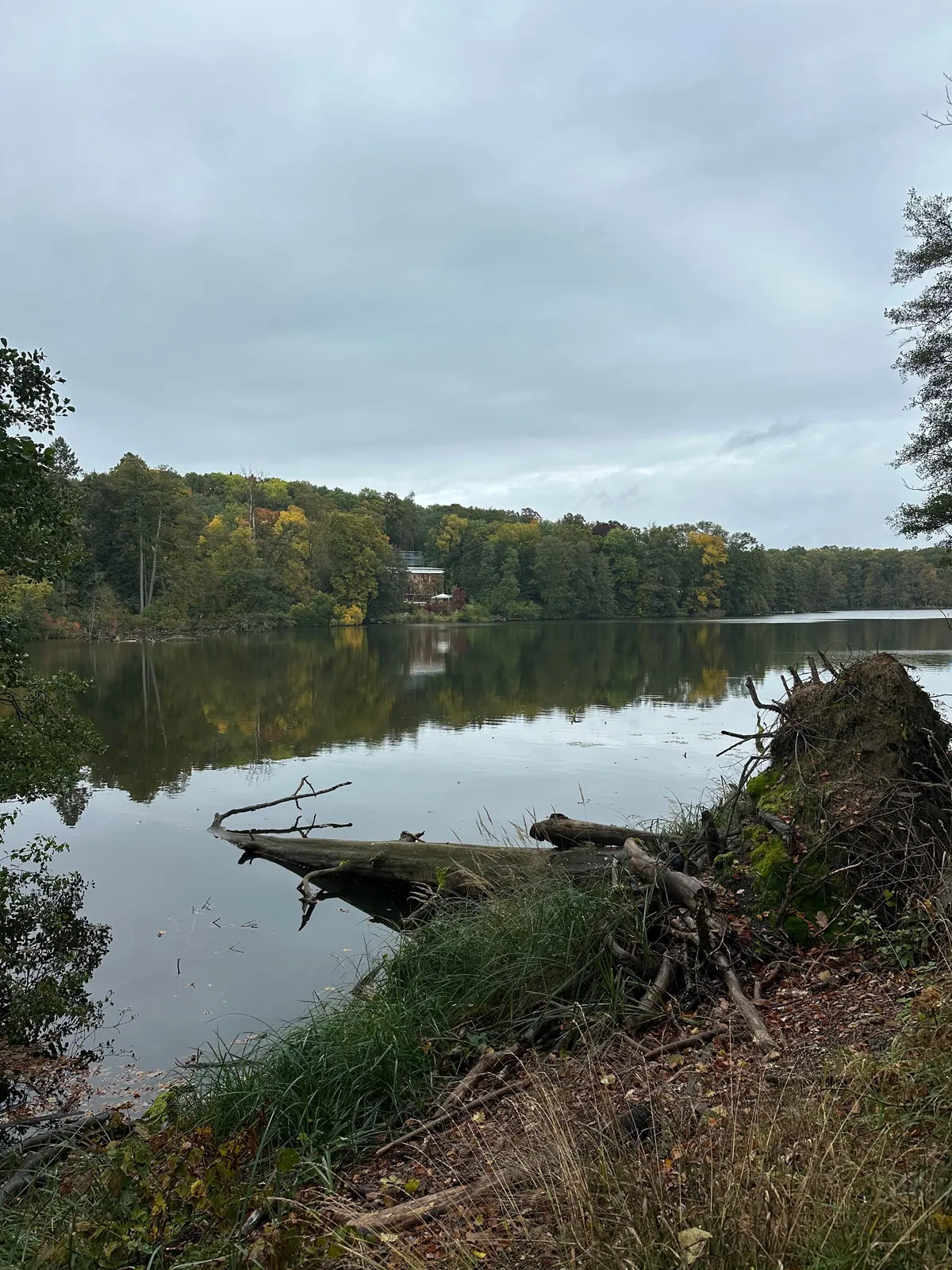 My 2 weeks in Germany, I would move to Berlin tomorrow!