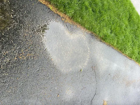 A 🩷 puddle near my house made me smile this morning 😊