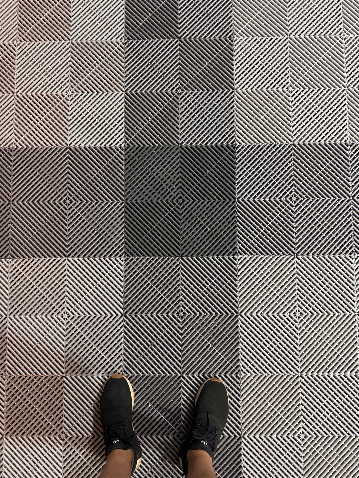 Graduated to a Swisstrax Garage Floor