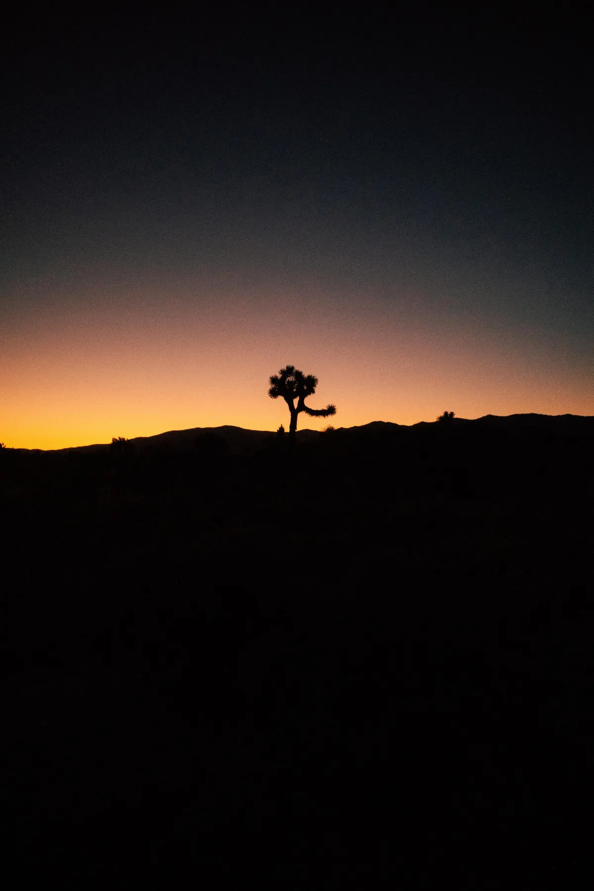 I hiked 2650 miles from Mexico to Canada on the Pacific Crest Trail